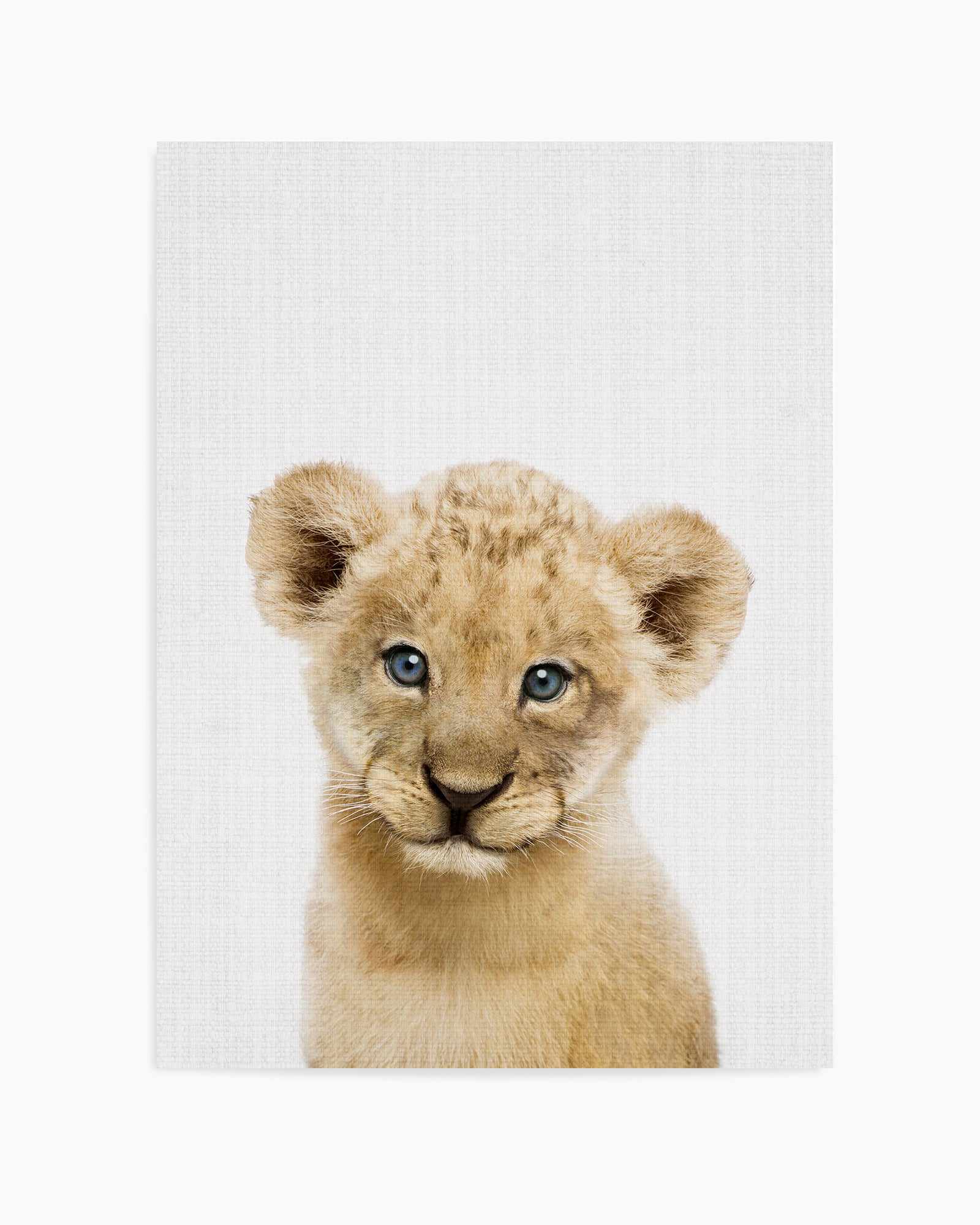 Peakaboo Baby Lion By Lola Peacock | Art Print