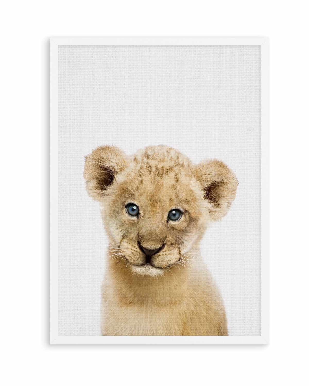 Peakaboo Baby Lion By Lola Peacock | Art Print