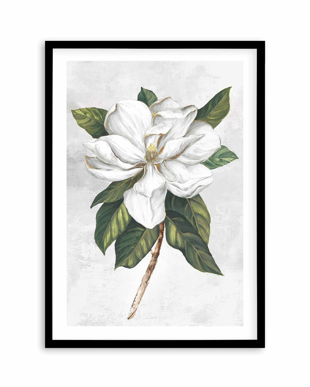 Pearly Beauty I Art Print