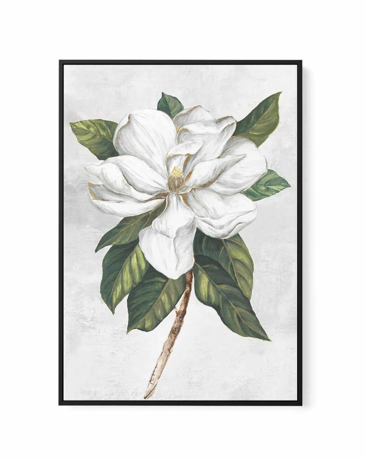 Pearly Beauty I | Framed Canvas Art Print from Olive et Oriel where you can shop wallpaper and artworks online