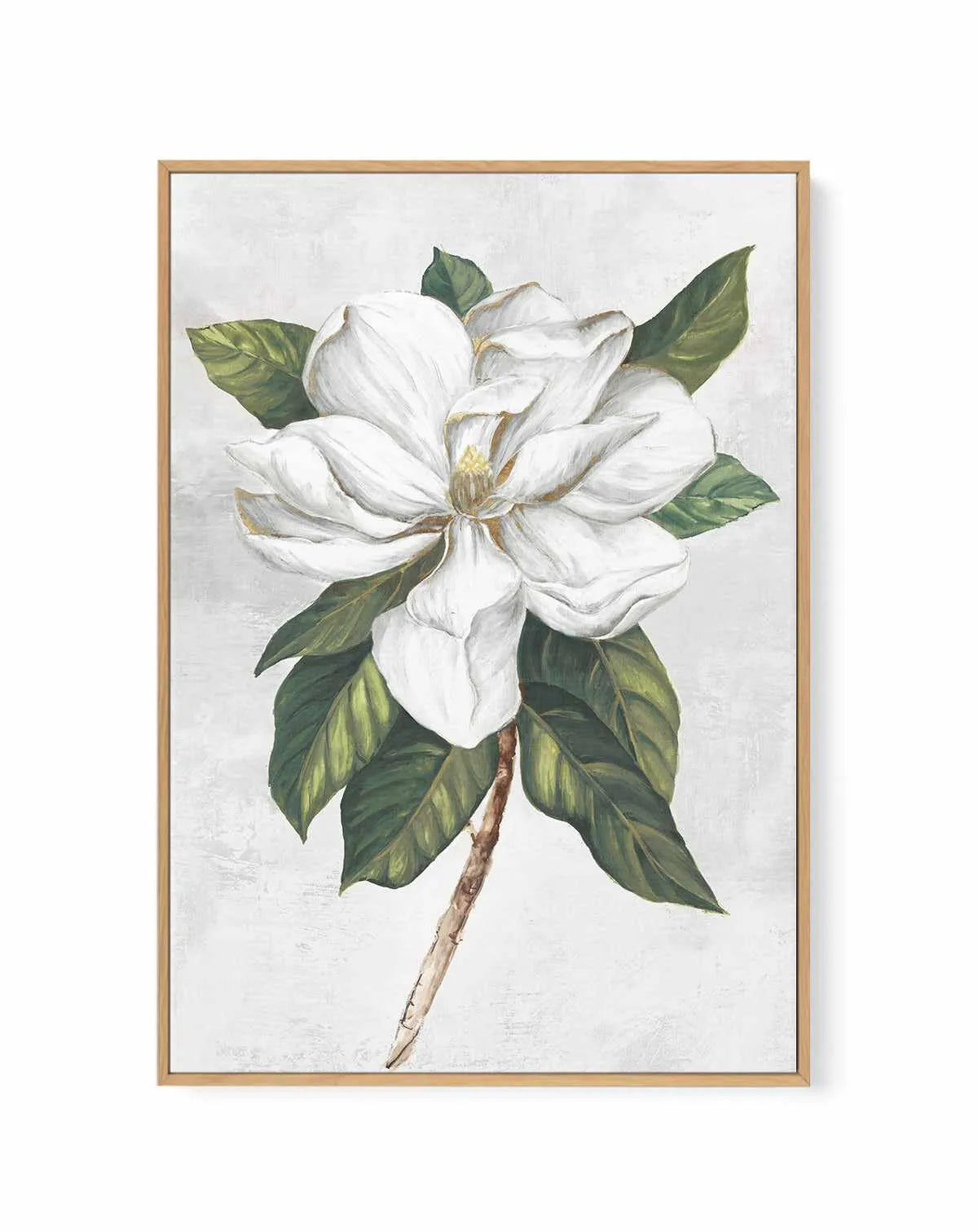 Pearly Beauty I | Framed Canvas Art Print from Olive et Oriel where you can shop wallpaper and artworks online