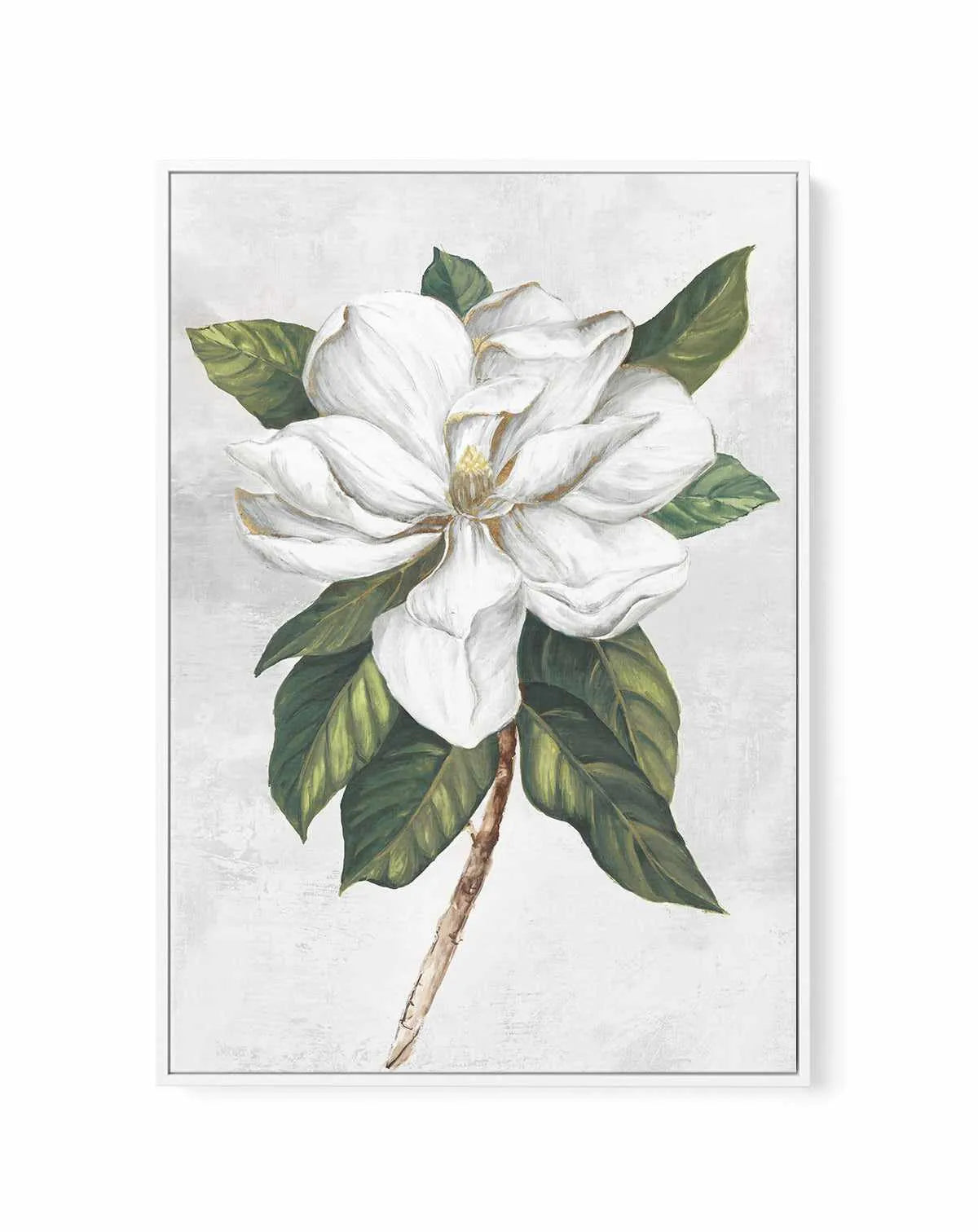 Pearly Beauty I | Framed Canvas Art Print from Olive et Oriel where you can shop wallpaper and artworks online