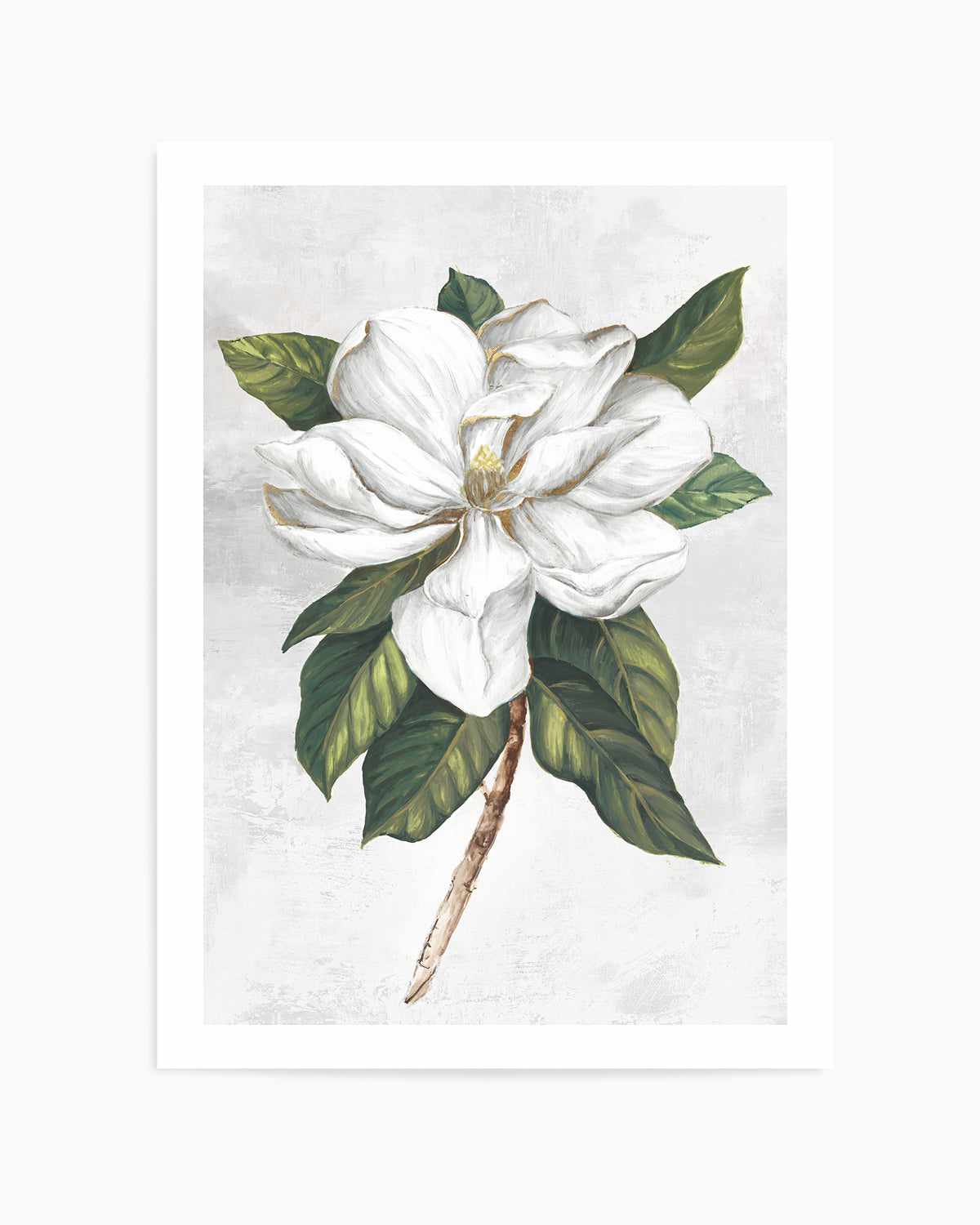 Pearly Beauty I Art Print