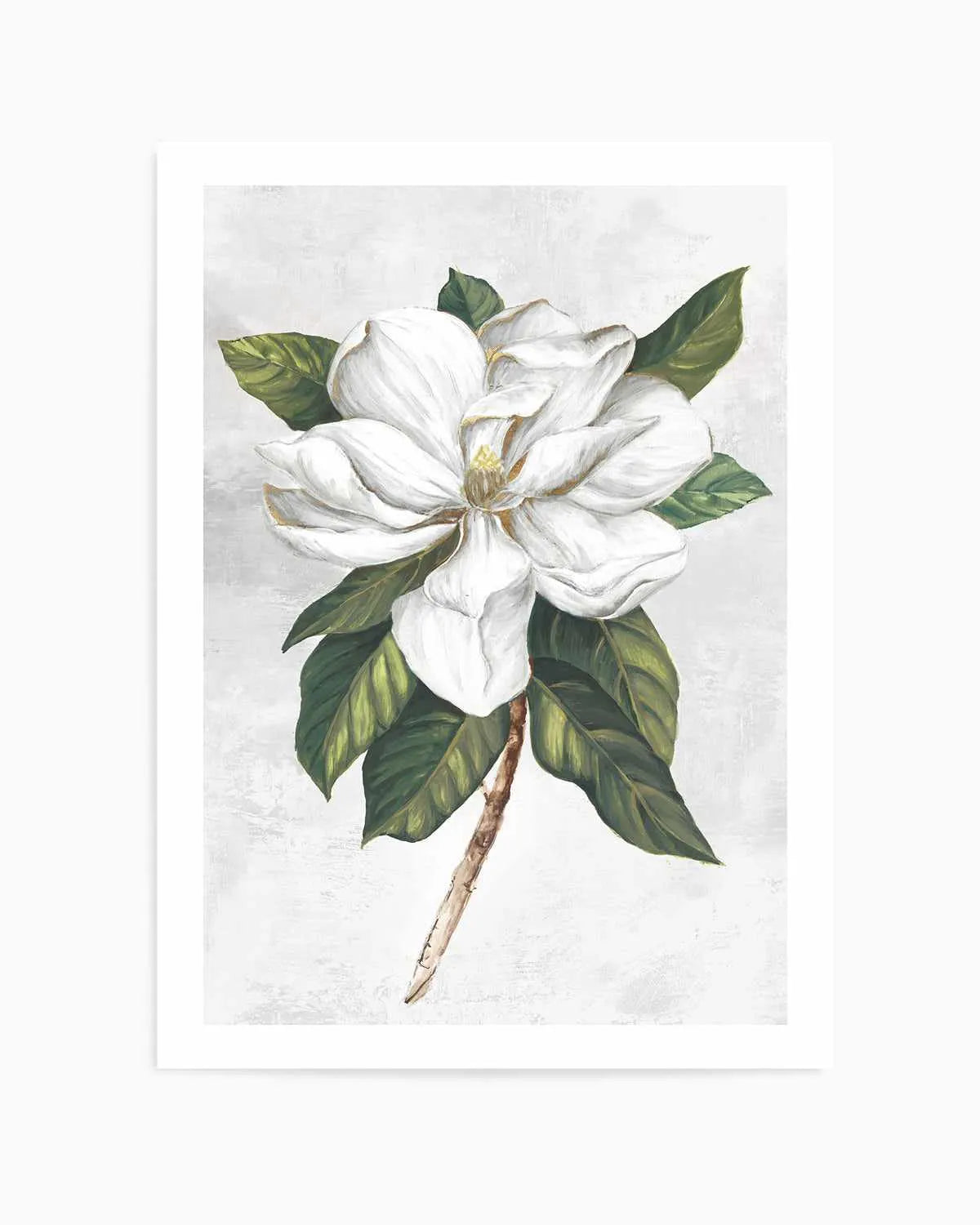 Pearly Beauty I Art Print from Olive et Oriel where you can shop wallpaper and artworks online