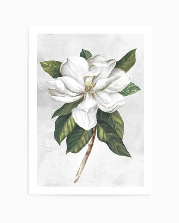 Pearly Beauty I Art Print from Olive et Oriel where you can shop wallpaper and artworks online