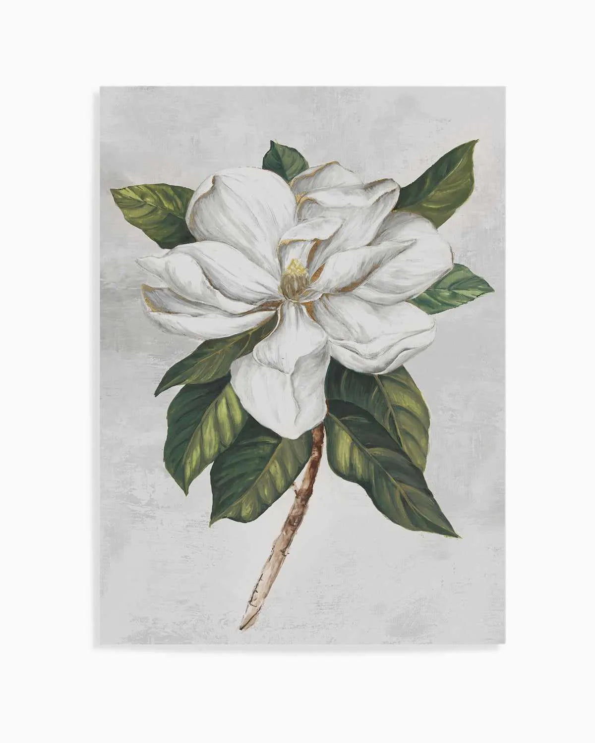 Pearly Beauty I Art Print from Olive et Oriel where you can shop wallpaper and artworks online