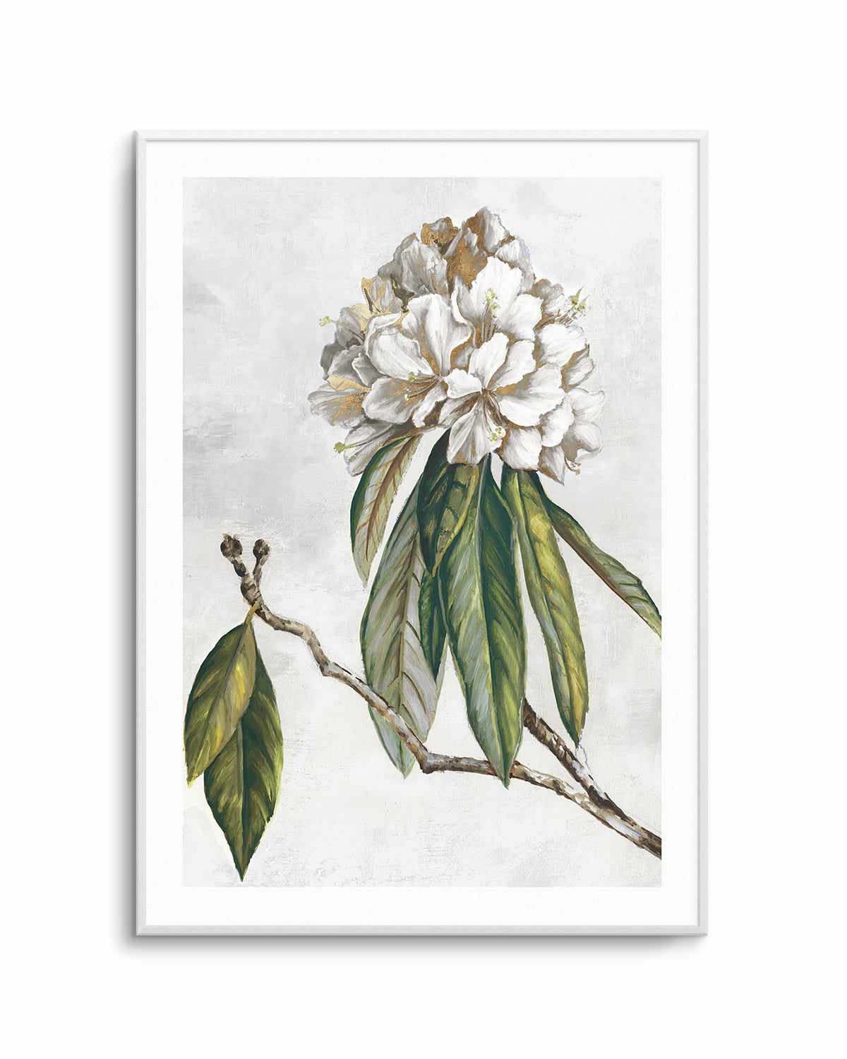 Pearly Beauty II Art Print