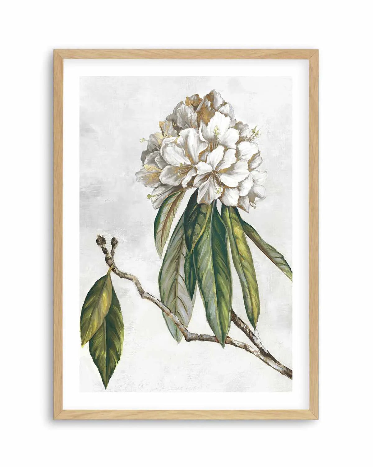 Pearly Beauty II Art Print from Olive et Oriel where you can shop wallpaper and artworks online