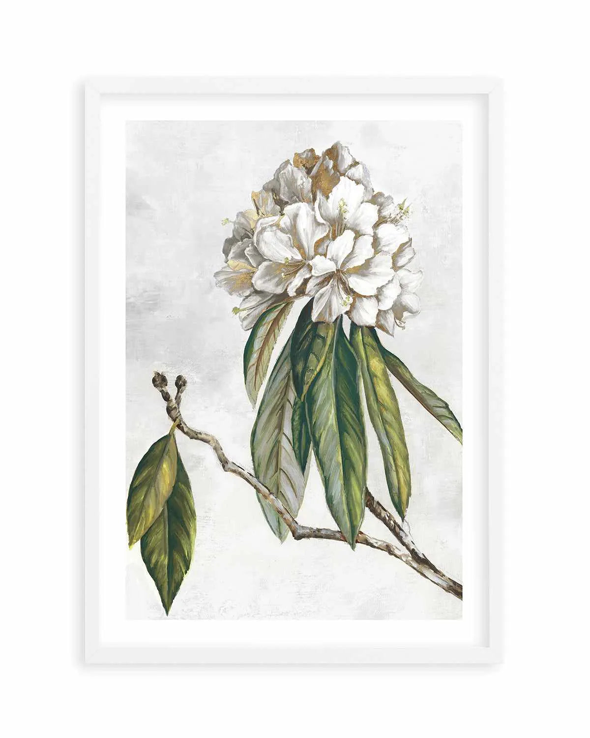 Pearly Beauty II Art Print from Olive et Oriel where you can shop wallpaper and artworks online