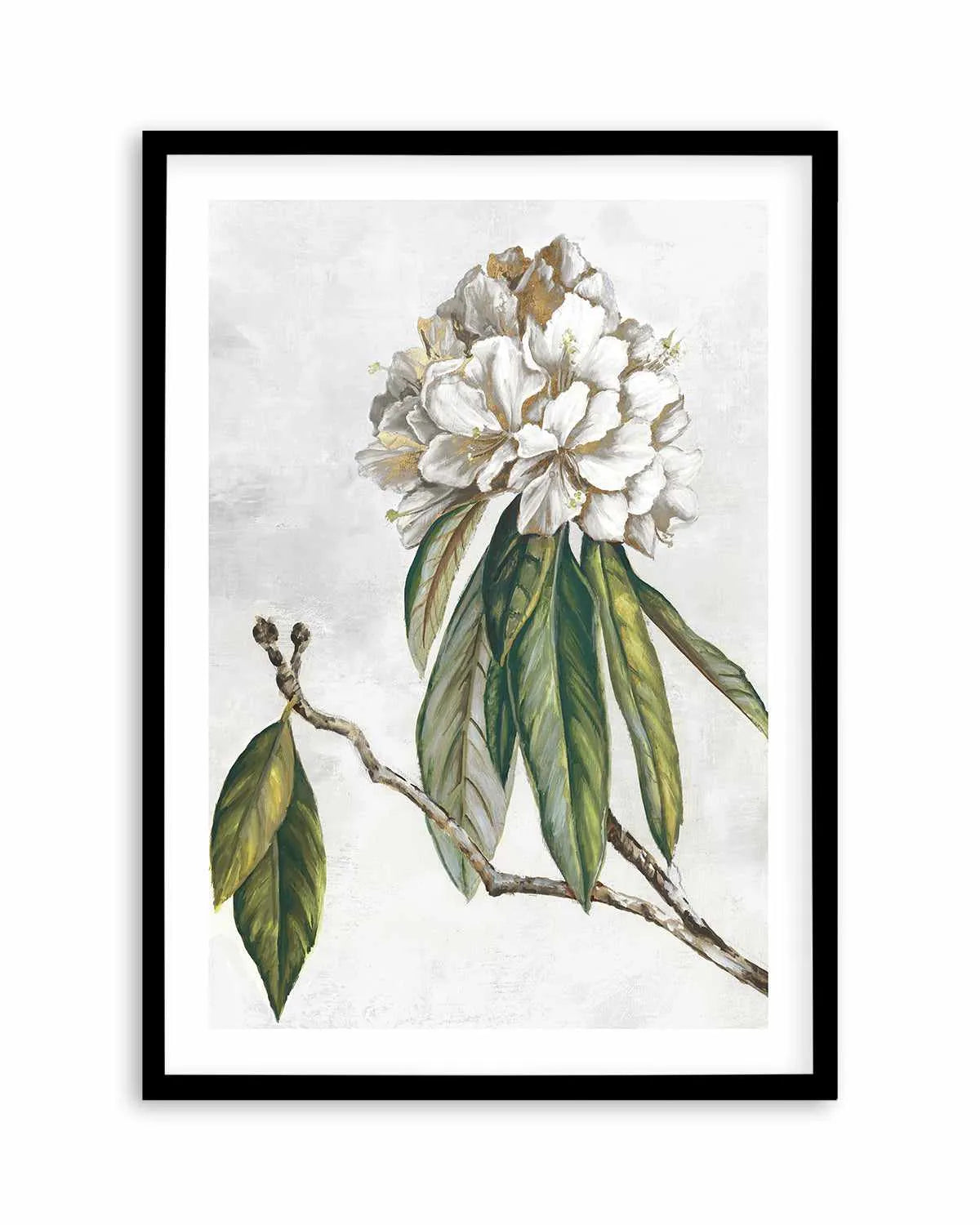 Pearly Beauty II Art Print from Olive et Oriel where you can shop wallpaper and artworks online