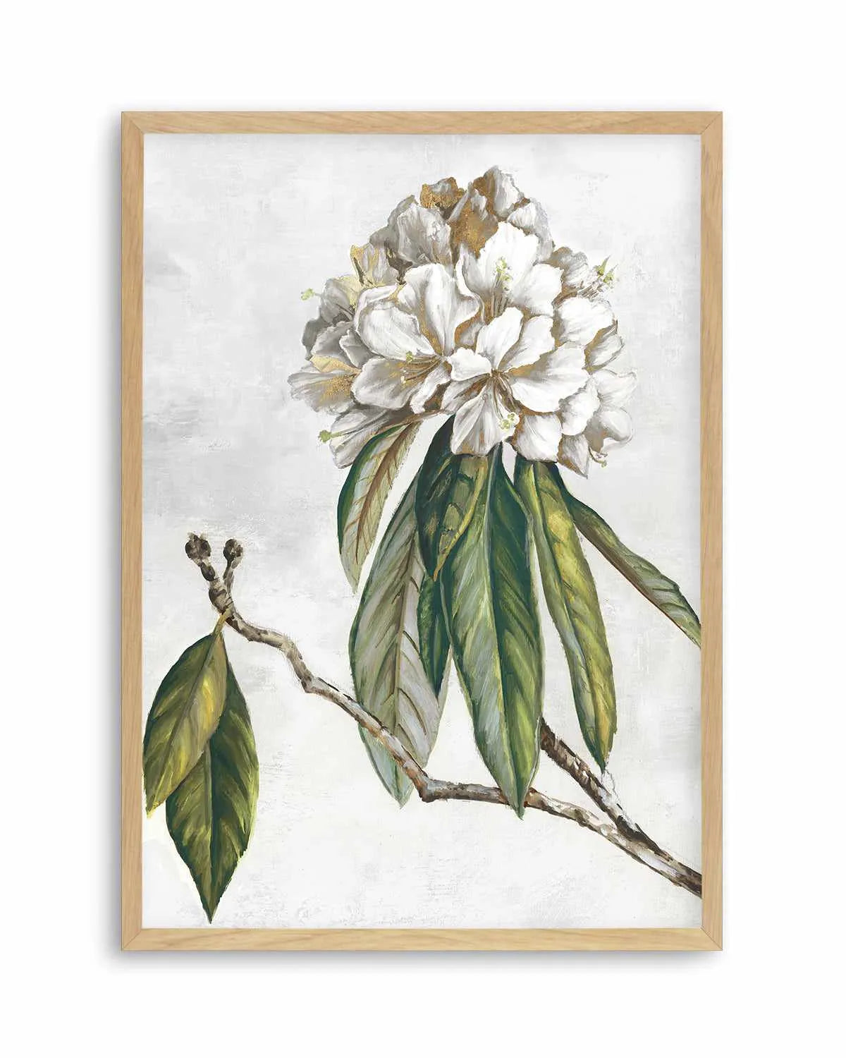 Pearly Beauty II Art Print from Olive et Oriel where you can shop wallpaper and artworks online