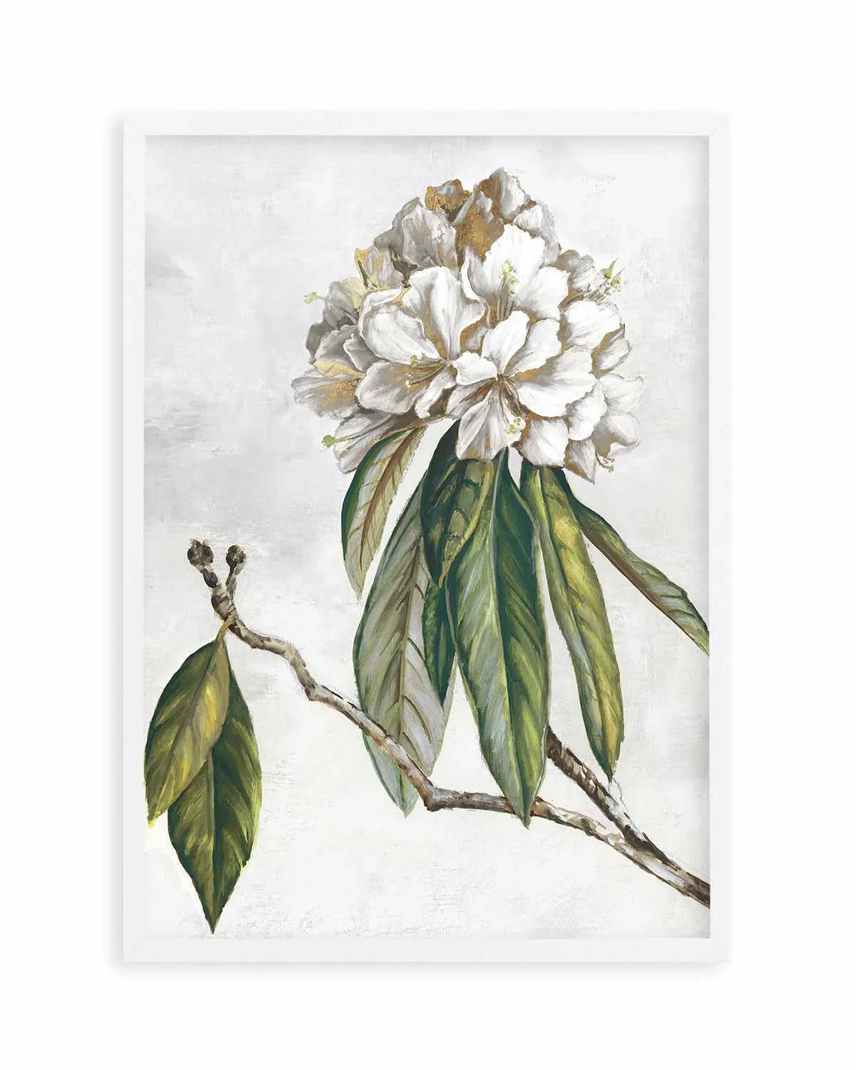 Pearly Beauty II Art Print from Olive et Oriel where you can shop wallpaper and artworks online