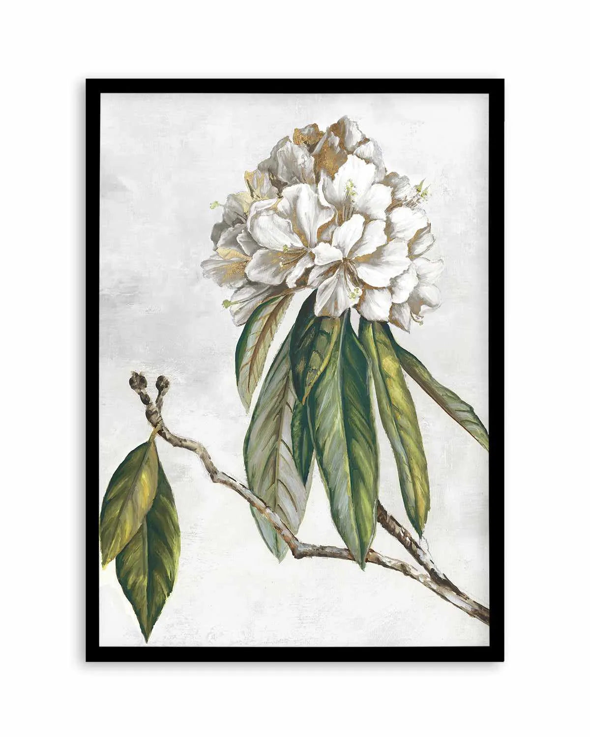 Pearly Beauty II Art Print from Olive et Oriel where you can shop wallpaper and artworks online