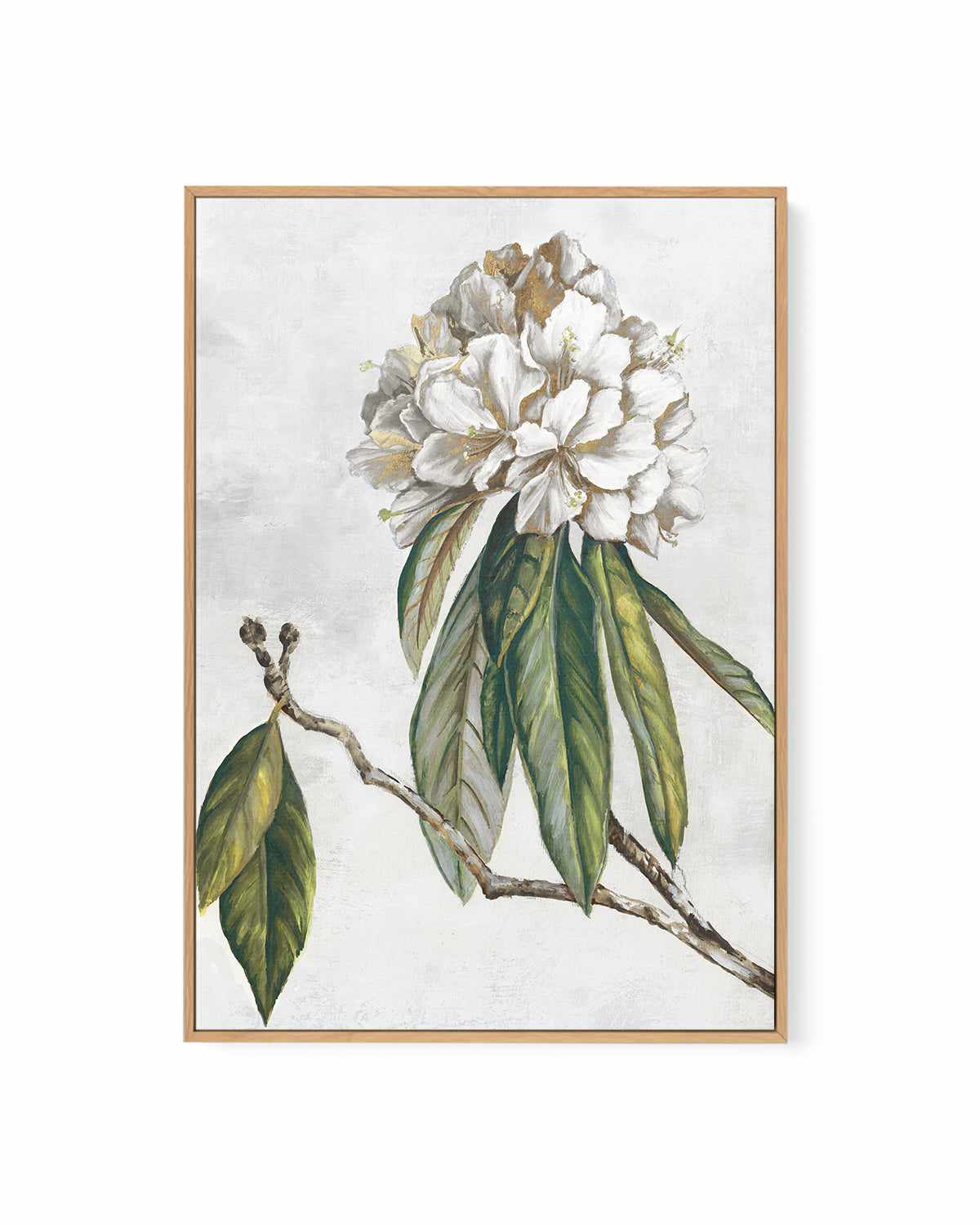 Pearly Beauty II | Framed Canvas Art Print