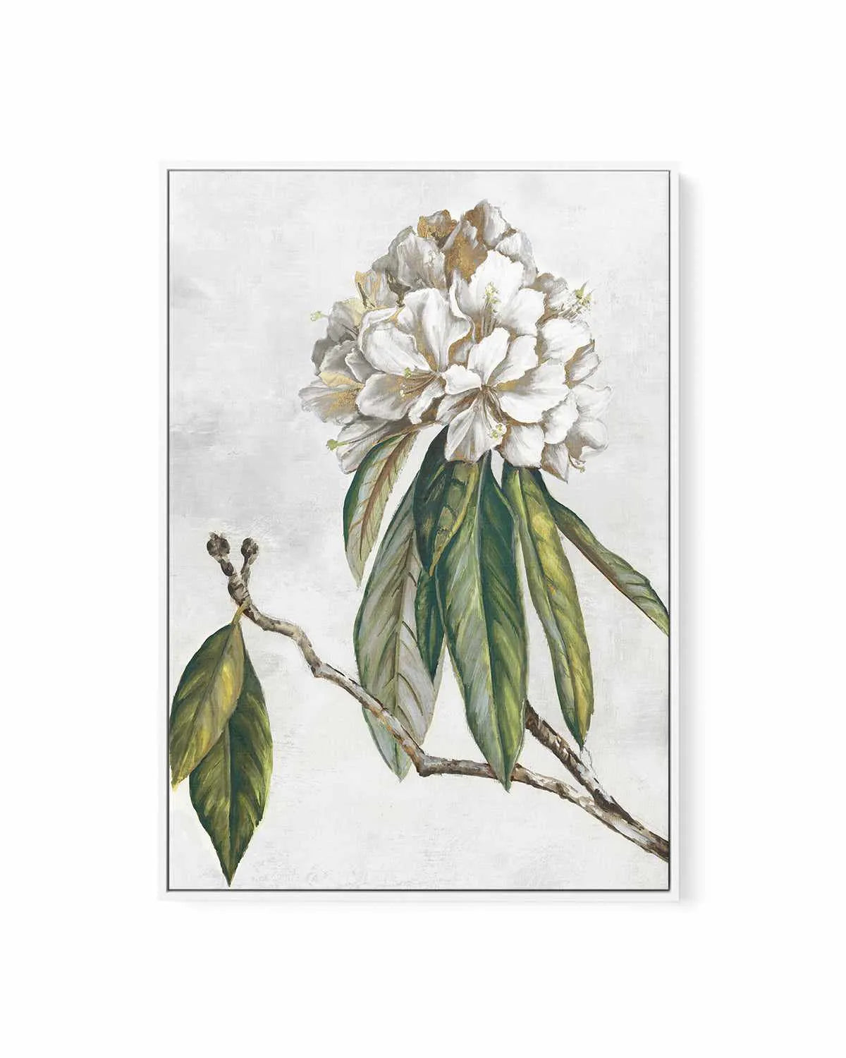Pearly Beauty II | Framed Canvas Art Print from Olive et Oriel where you can shop wallpaper and artworks online