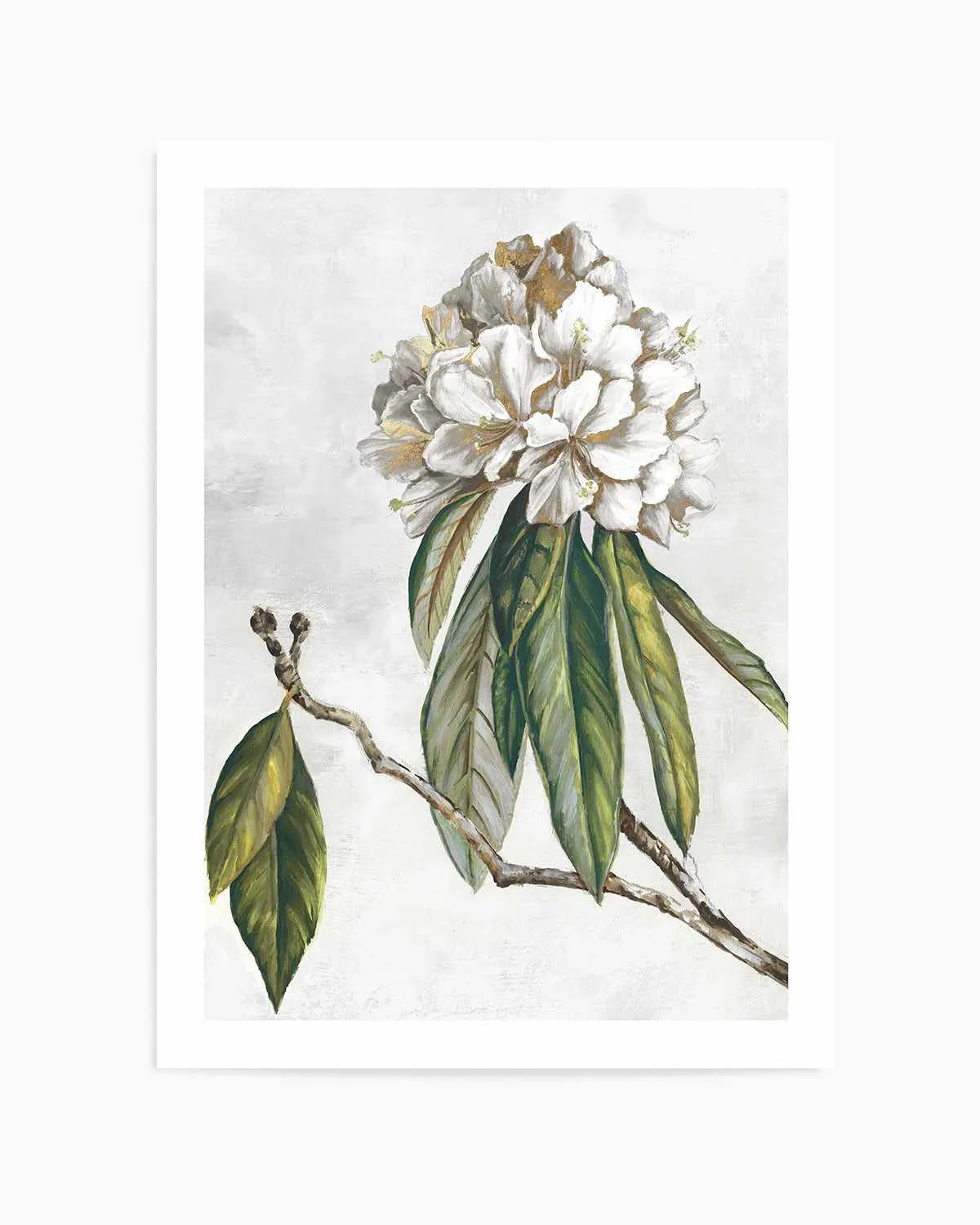 Pearly Beauty II Art Print from Olive et Oriel where you can shop wallpaper and artworks online