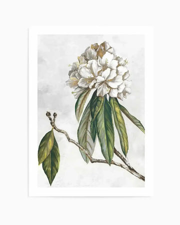 Pearly Beauty II Art Print from Olive et Oriel where you can shop wallpaper and artworks online