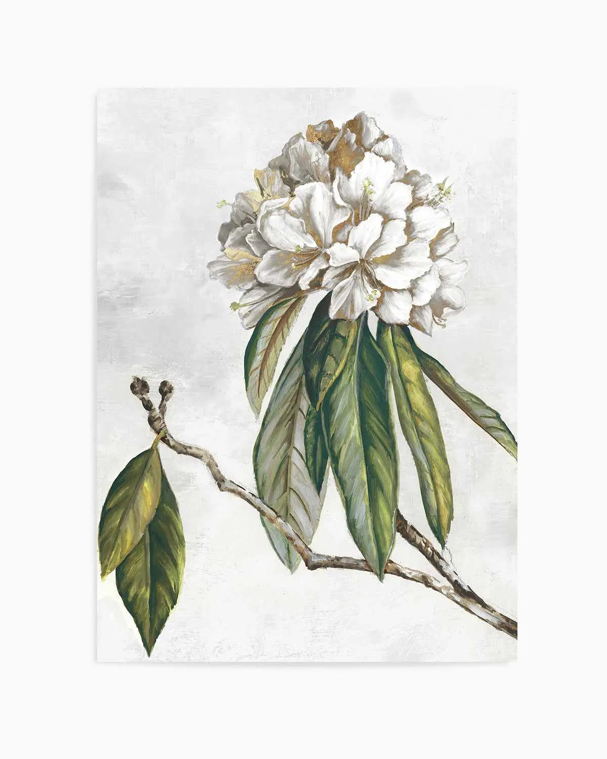 Pearly Beauty II Art Print from Olive et Oriel where you can shop wallpaper and artworks online