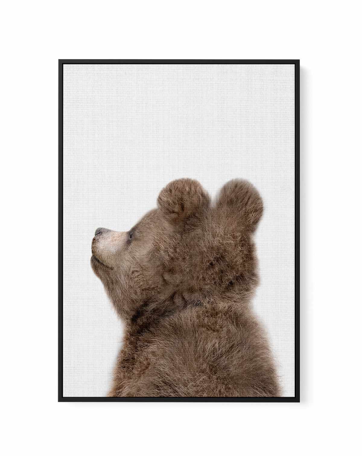 Peekaboo Baby Bear Back By Lola Peacock | Framed Canvas Art Print from Olive et Oriel where you can shop wallpaper and artworks online