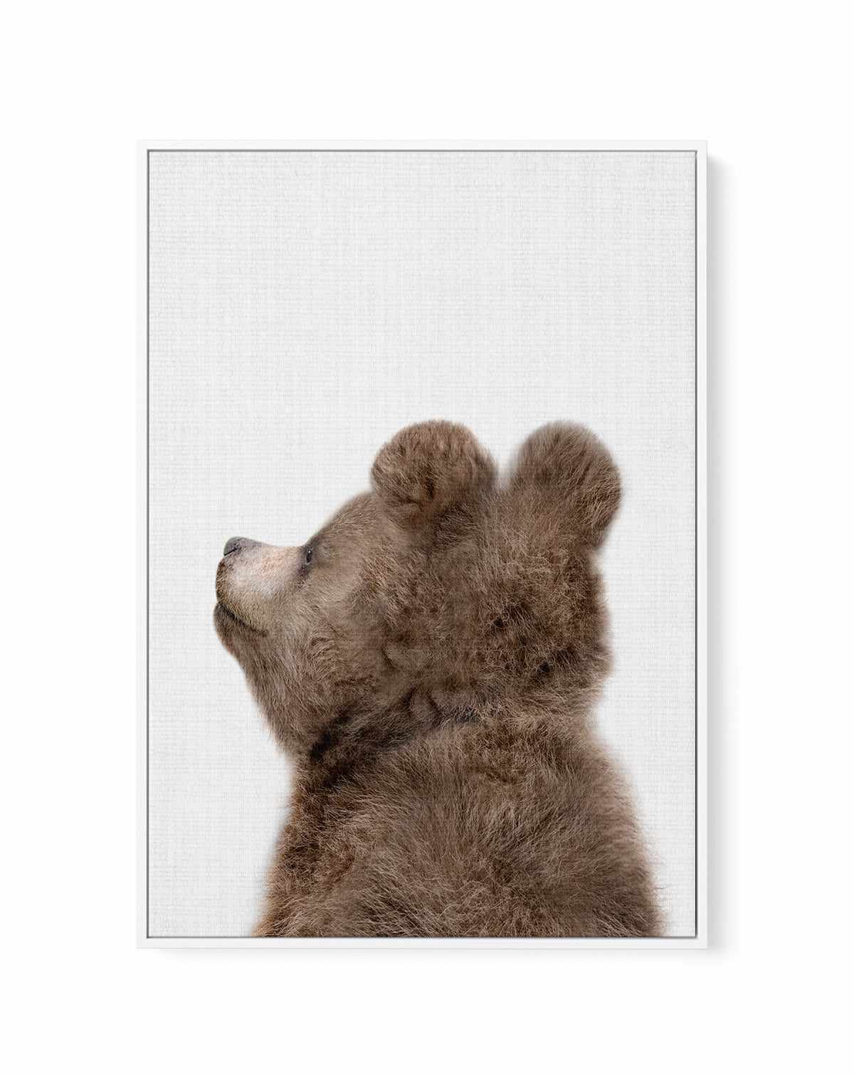 Peekaboo Baby Bear Back By Lola Peacock | Framed Canvas Art Print