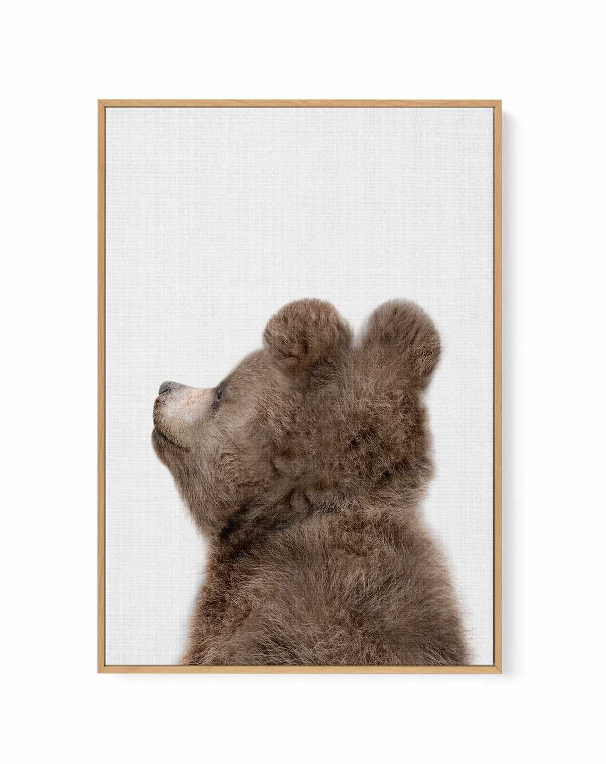 Peekaboo Baby Bear Back By Lola Peacock | Framed Canvas Art Print from Olive et Oriel where you can shop wallpaper and artworks online