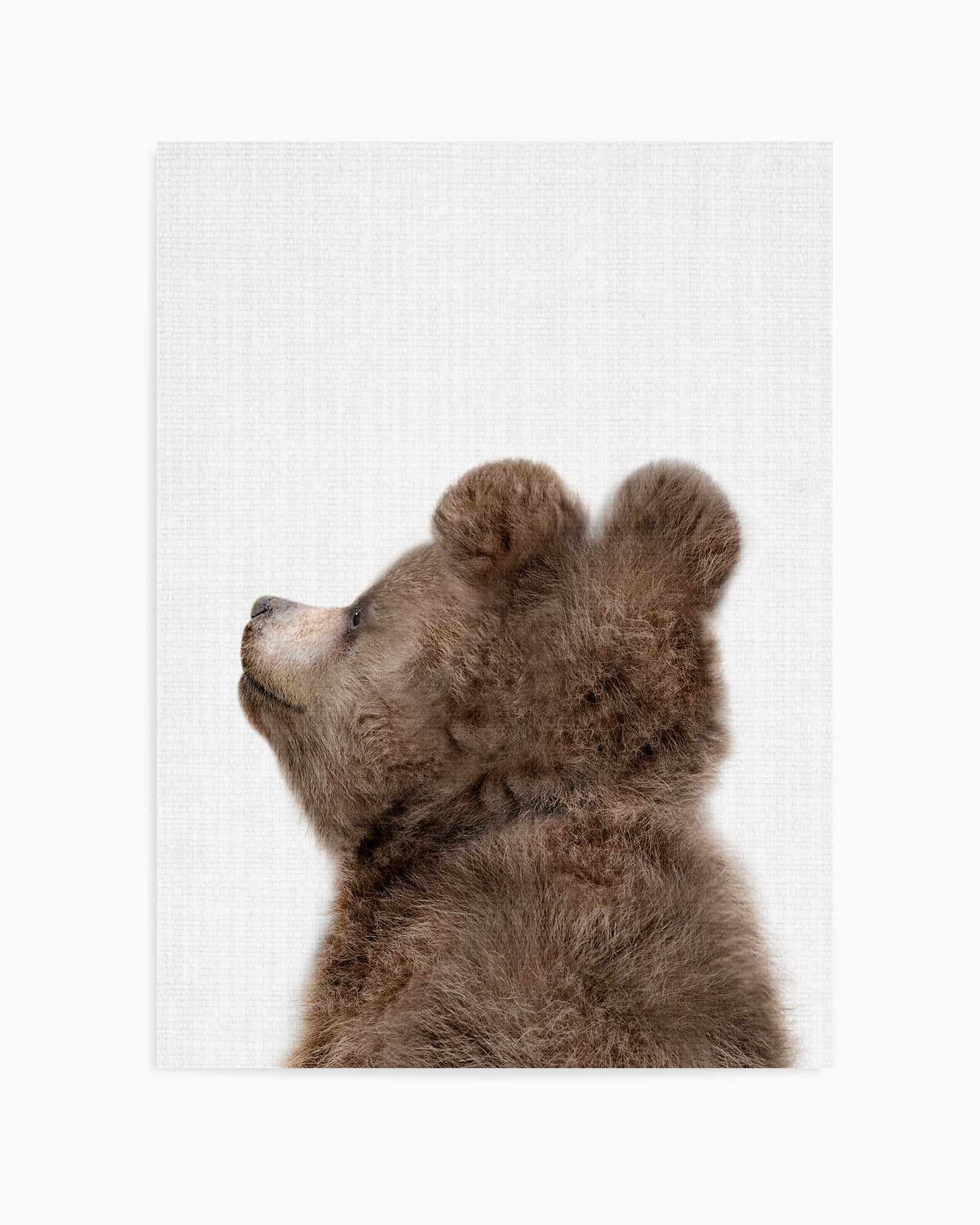 Peekaboo Baby Bear Back By Lola Peacock | Art Print