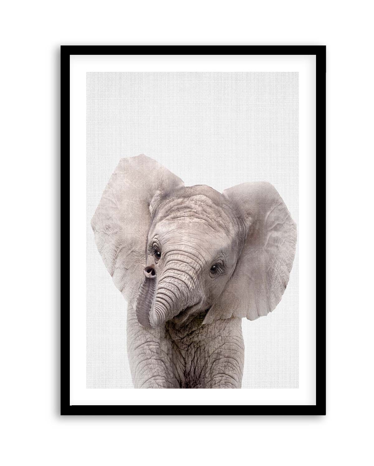 Peekaboo Baby Elephant by Lola Peacock | Art Print