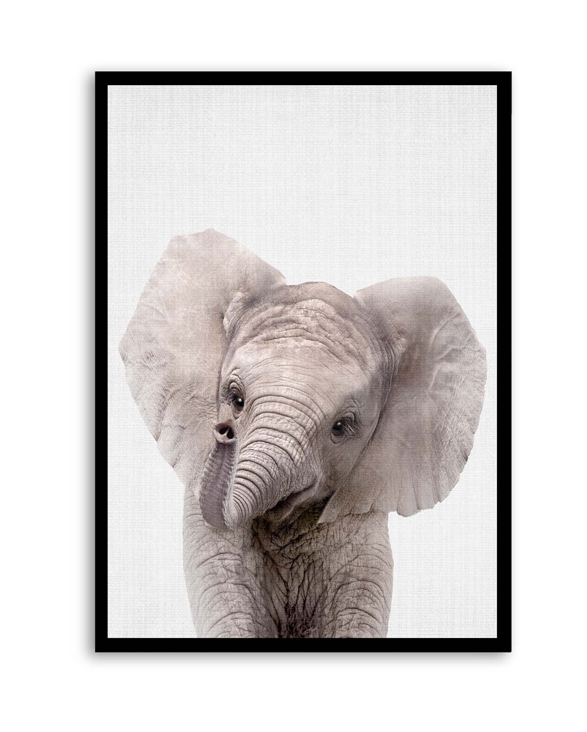 Peekaboo Baby Elephant by Lola Peacock | Art Print