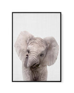 Peekaboo Baby Elephant by Lola Peacock | Framed Canvas Art Print