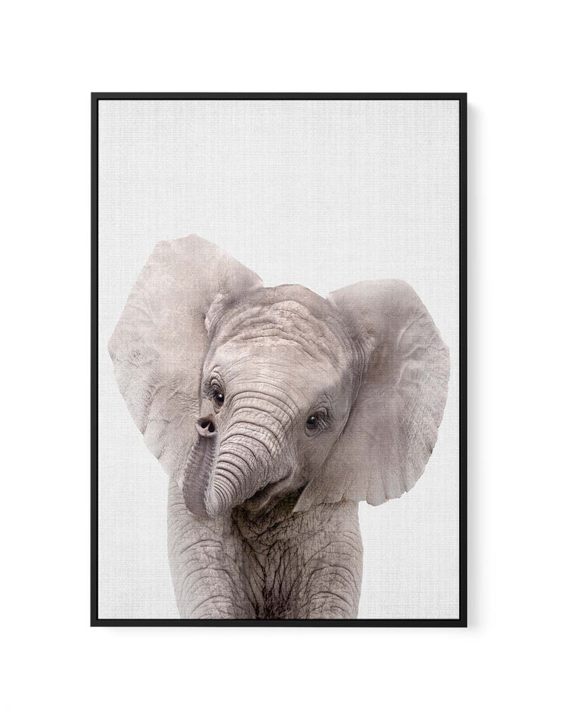 Peekaboo Baby Elephant by Lola Peacock | Framed Canvas Art Print