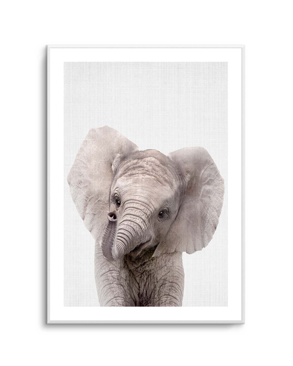 Peekaboo Baby Elephant by Lola Peacock | Art Print – Olive et Oriel