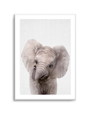 Peekaboo Baby Elephant by Lola Peacock | Art Print from Olive et Oriel where you can shop wallpaper and artworks online