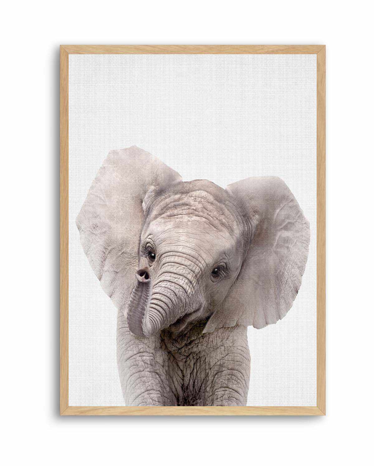 Peekaboo Baby Elephant by Lola Peacock | Art Print