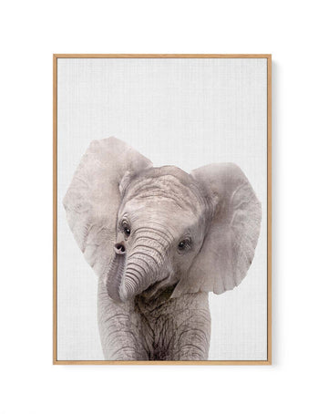 Peekaboo Baby Elephant by Lola Peacock | Framed Canvas Art Print from Olive et Oriel where you can shop wallpaper and artworks online