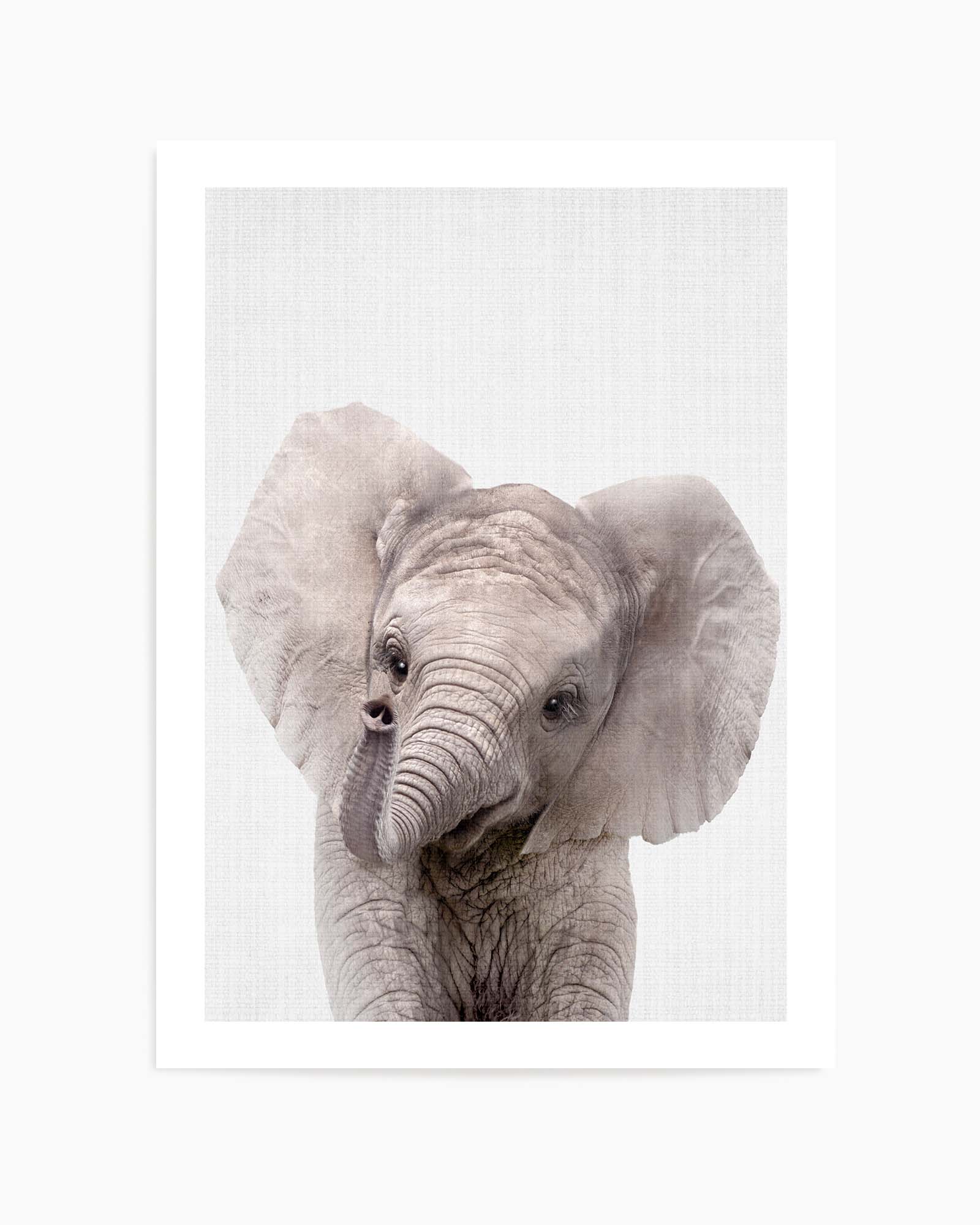 Peekaboo Baby Elephant by Lola Peacock | Art Print