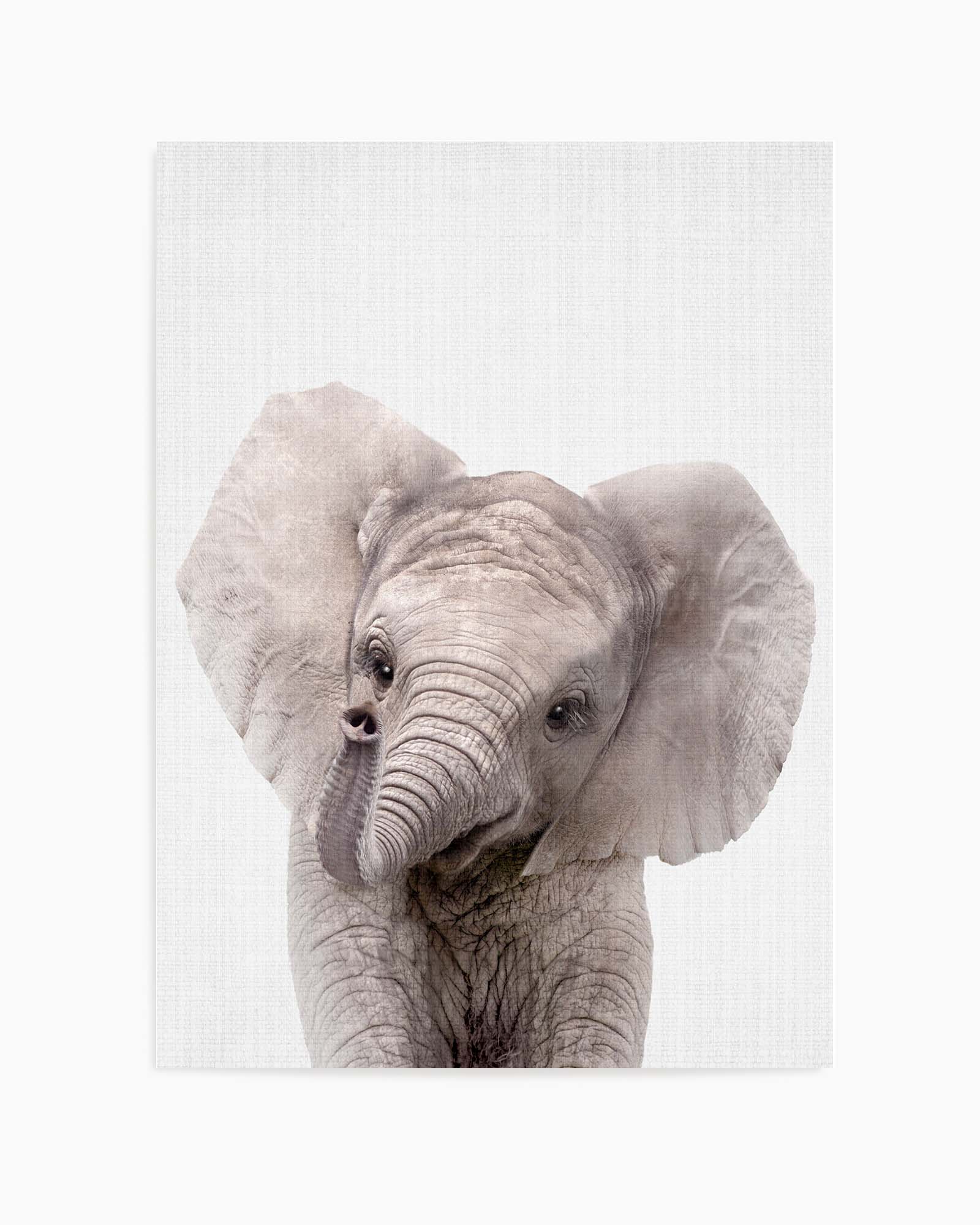 Peekaboo Baby Elephant by Lola Peacock | Art Print