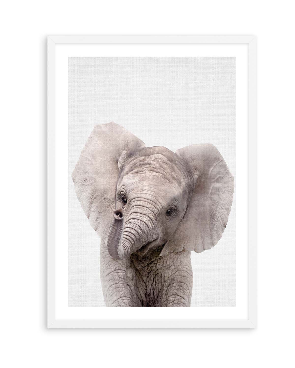 Peekaboo Baby Elephant by Lola Peacock | Art Print