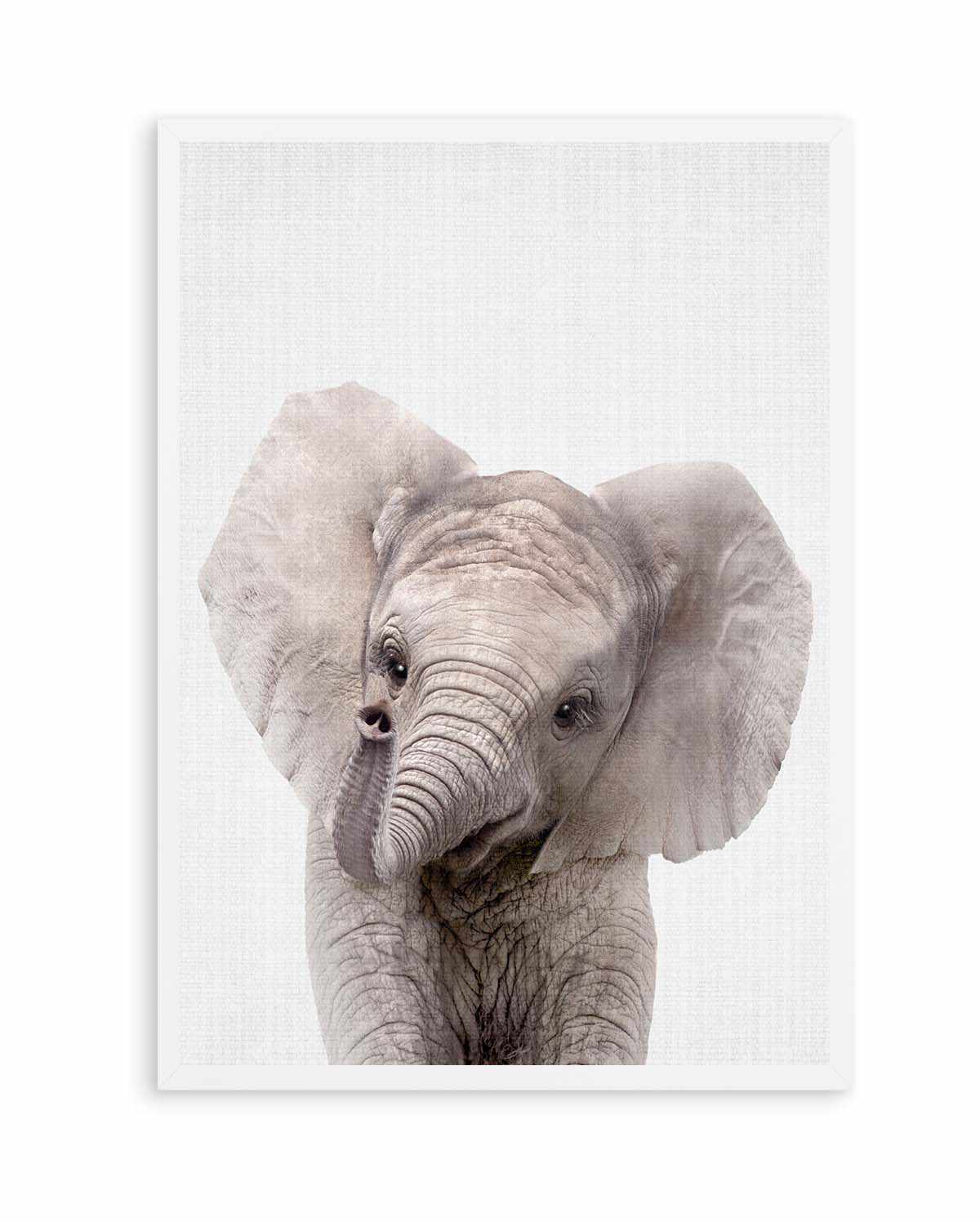 Peekaboo Baby Elephant by Lola Peacock | Art Print