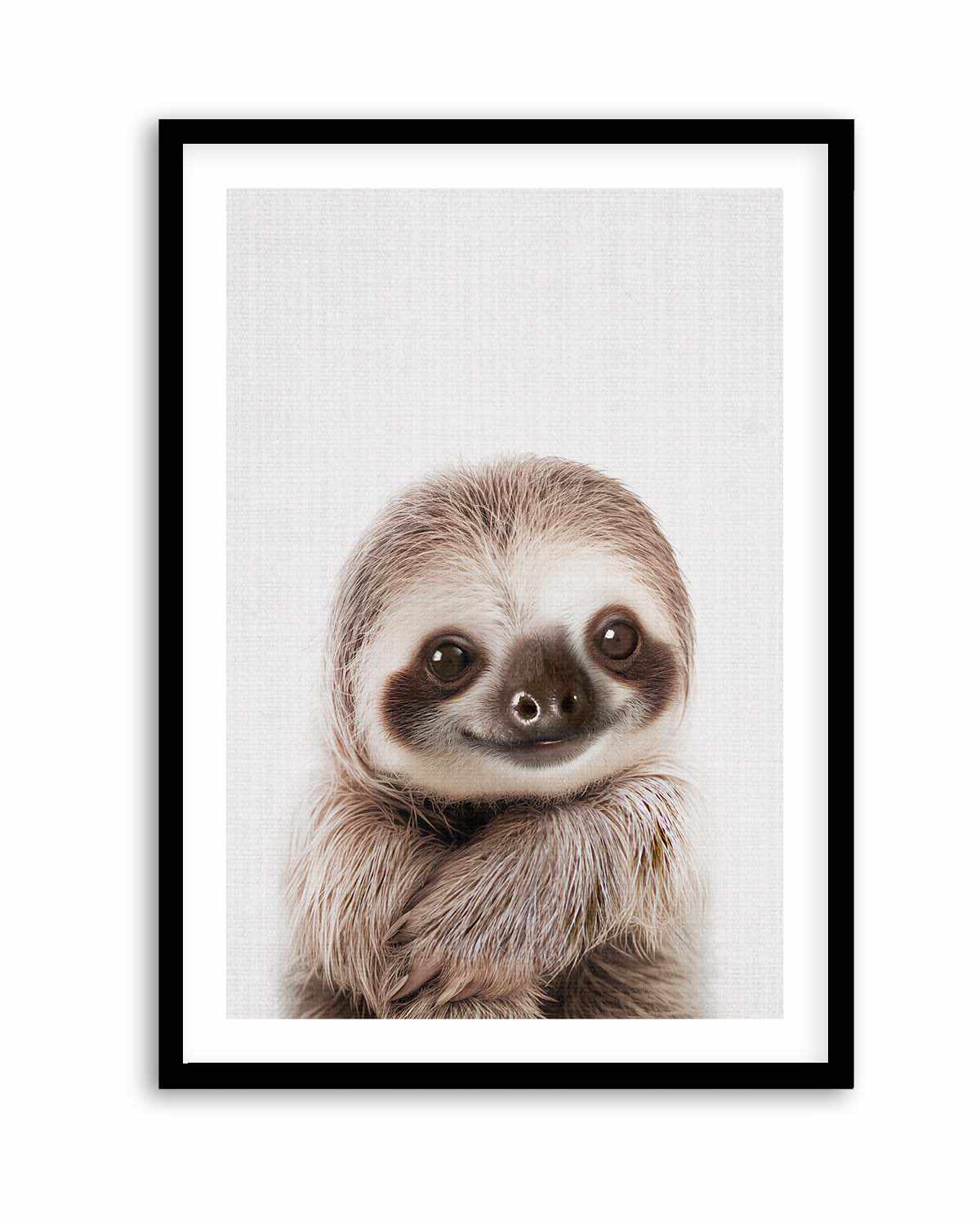 Peekaboo Baby Sloth by Lola Peacock | Art Print