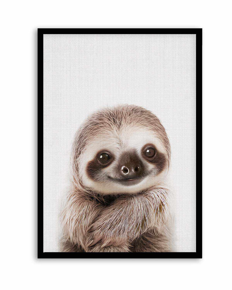 Peekaboo Baby Sloth by Lola Peacock | Art Print