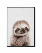 Peekaboo Baby Sloth by Lola Peacock | Framed Canvas Art Print