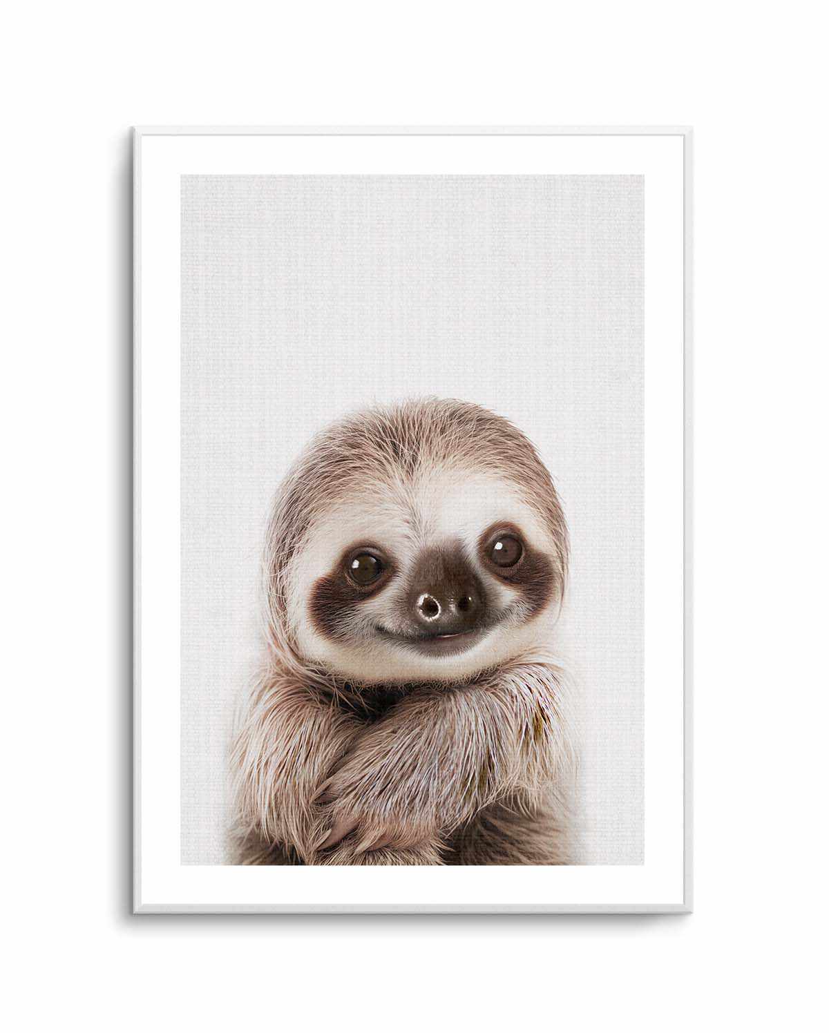 Peekaboo Baby Sloth by Lola Peacock | Art Print