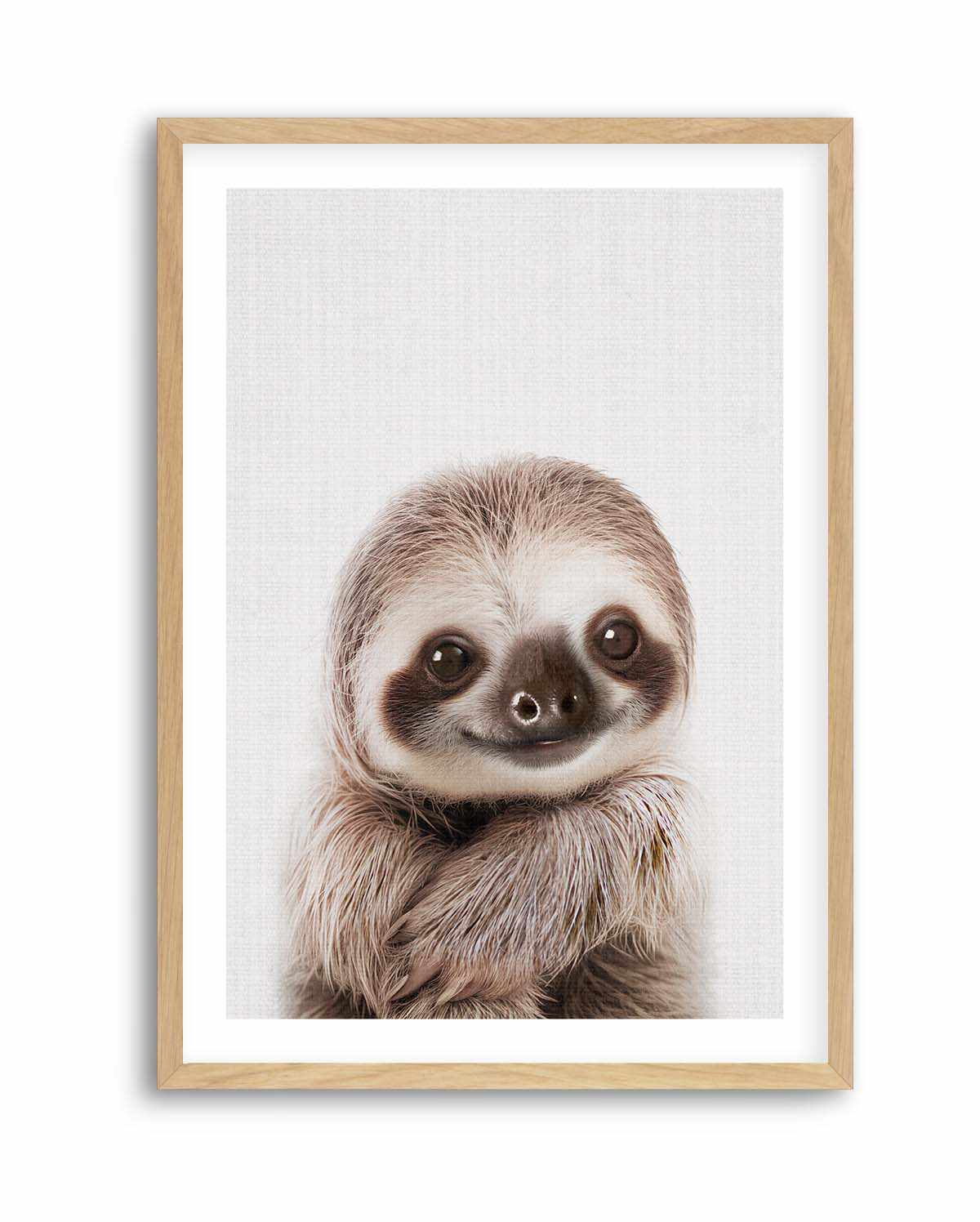 Peekaboo Baby Sloth by Lola Peacock | Art Print