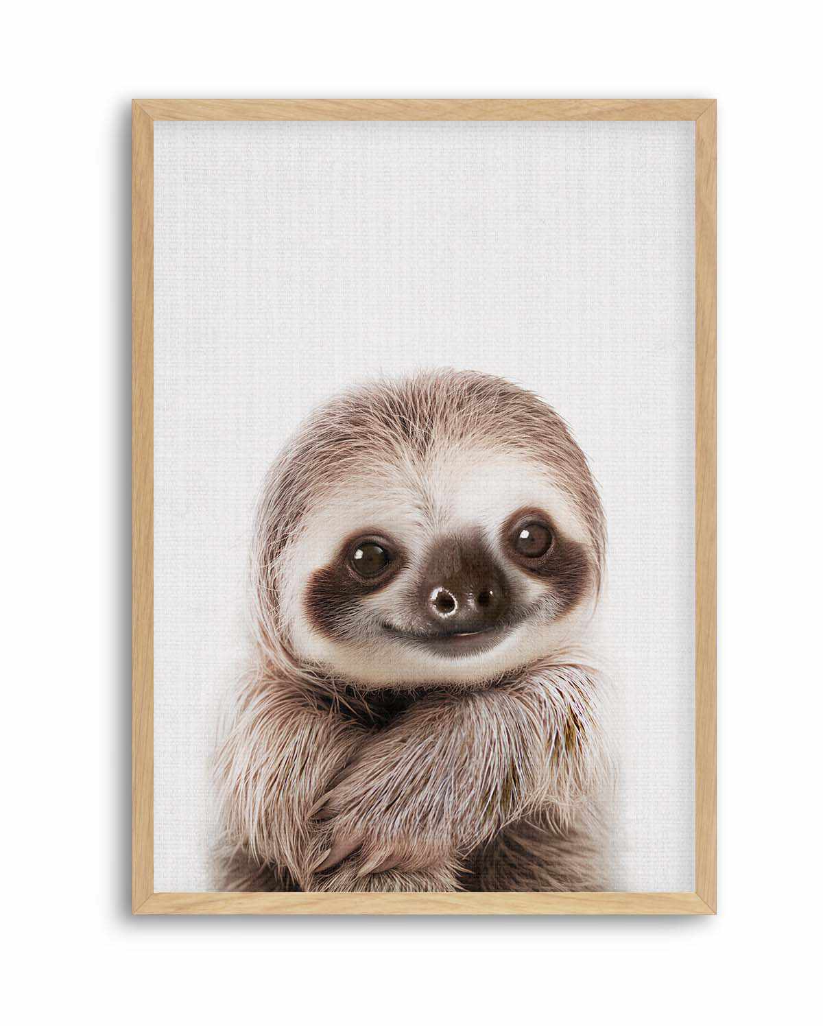 Peekaboo Baby Sloth by Lola Peacock | Art Print