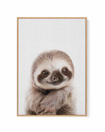 Peekaboo Baby Sloth by Lola Peacock | Framed Canvas Art Print from Olive et Oriel where you can shop wallpaper and artworks online