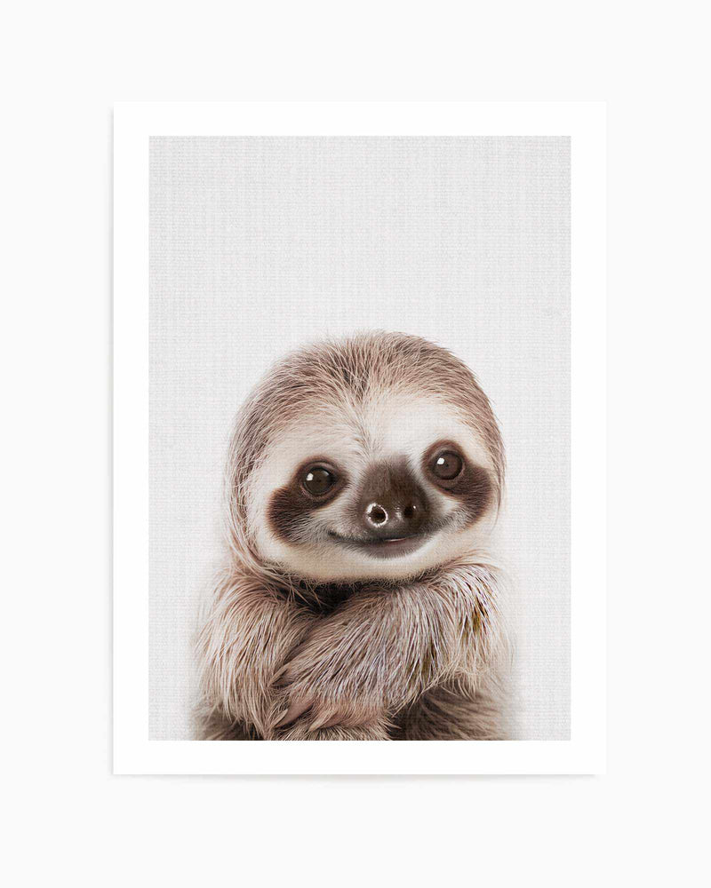 Peekaboo Baby Sloth by Lola Peacock | Art Print