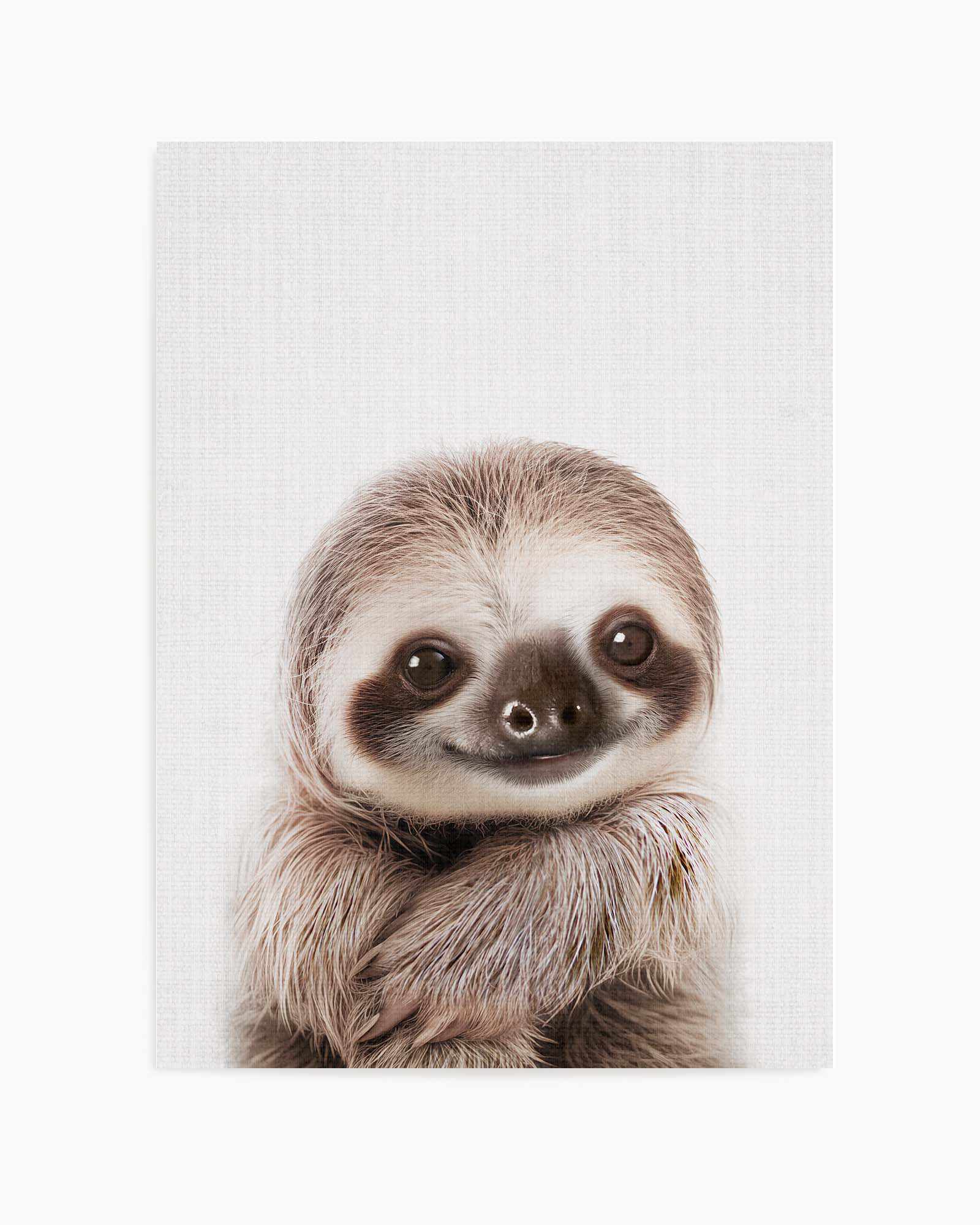 Peekaboo Baby Sloth by Lola Peacock | Art Print