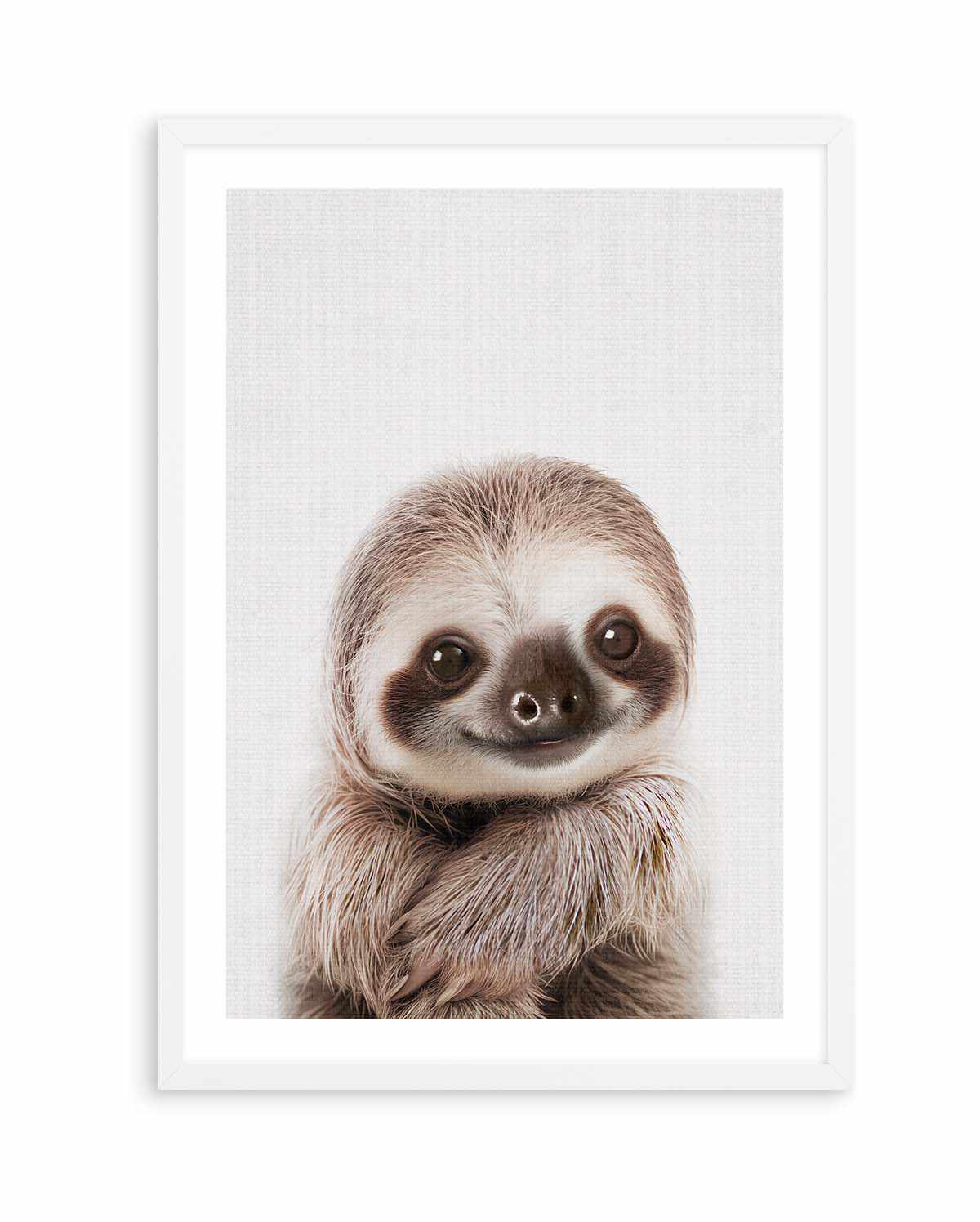 Peekaboo Baby Sloth by Lola Peacock | Art Print