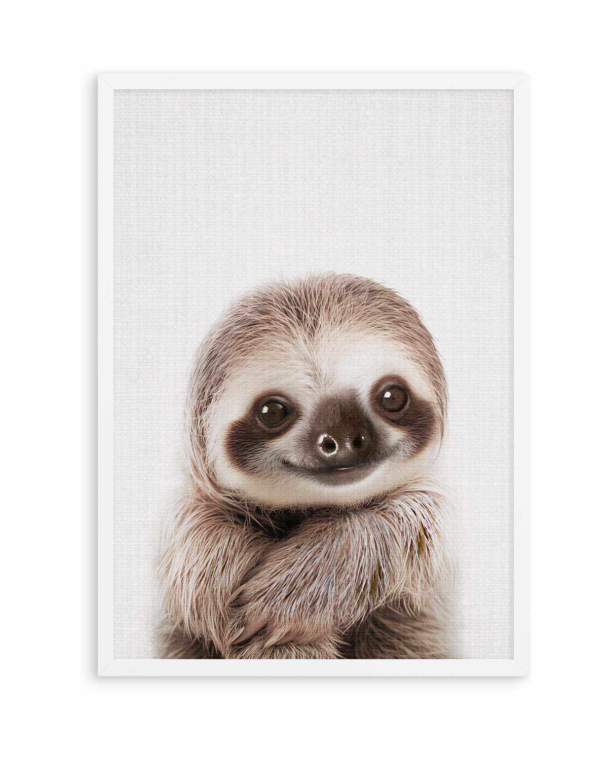 Peekaboo Baby Sloth by Lola Peacock | Art Print