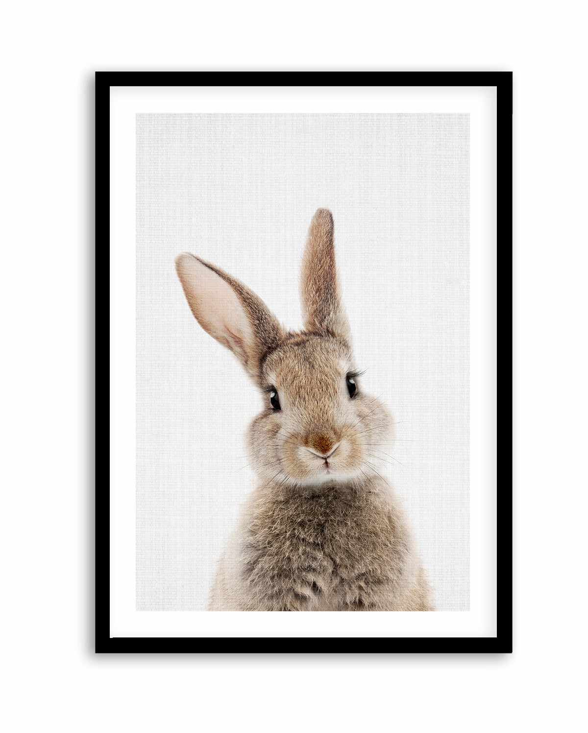 Peekaboo Bunny By Lola Peacock | Art Print